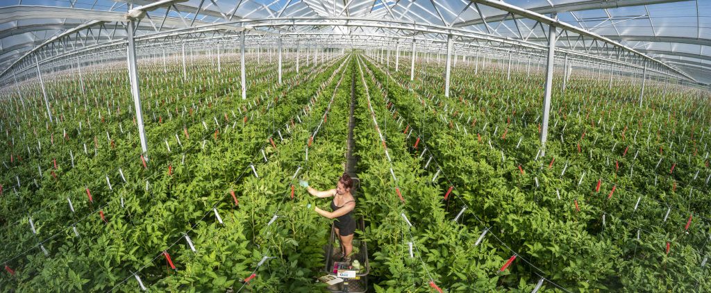 Standhill News – 2023 | Standhill Farm